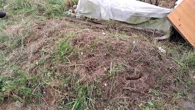 Расчищаем место под Клумбу ???