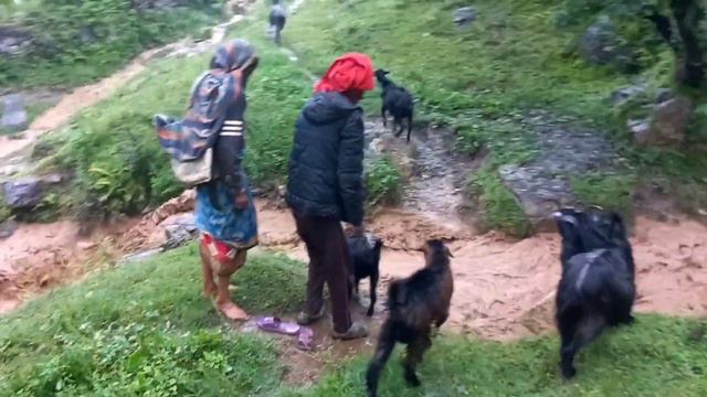 Rural Mountain Village Lifestyle - Beautiful And Organic Life In Rural Village !