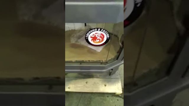 Печь-камин Экокамин Мюнхен пристенно-угловой панорама - ЛУЧШАЯ ЦЕНА У НАС! смотреть онлайн