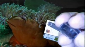 Brusko Протекает картридж? Смотрим причину,как избавиться