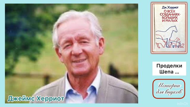 Джеймс Херриот. Проделки Шепа, пса мистера Бейлса.
