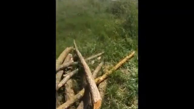 казаки делают леавду для коней смотреть онлайн