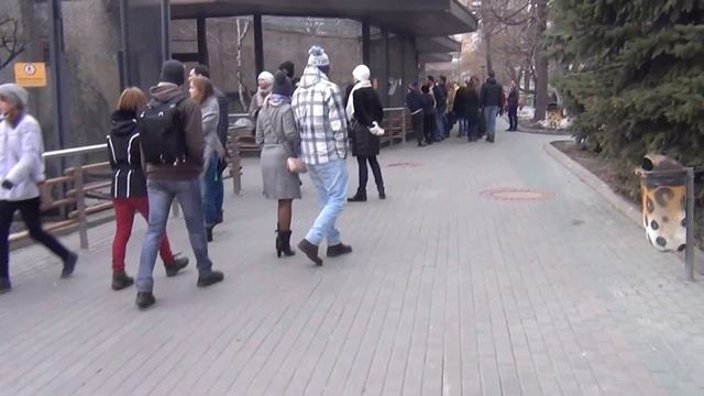 Московский зоопарк #2. Кормление пингвинов. Жираф. смотреть онлайн