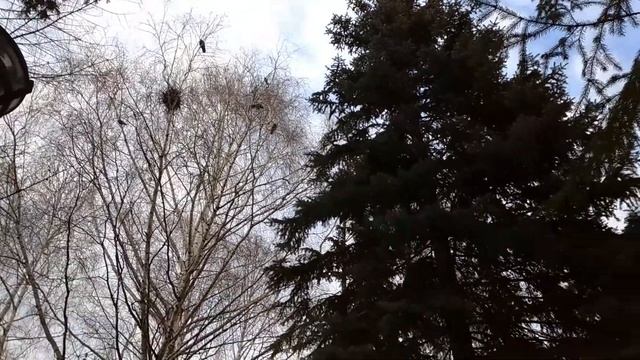 Грачи прилетели смотреть онлайн