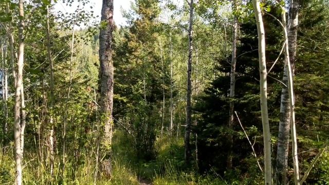 Starting at Isle Royale National Park, Michigan - WALK ACROSS AMERICA II смотреть онлайн