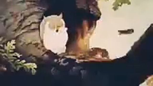 Рождение Бэмби