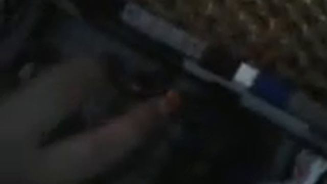 лего зоопарк смотреть онлайн