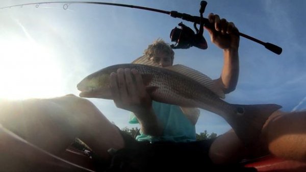 Sight Casting Redfish on the Flats!! Ft NEW KastKing Sharky 3 Combos!