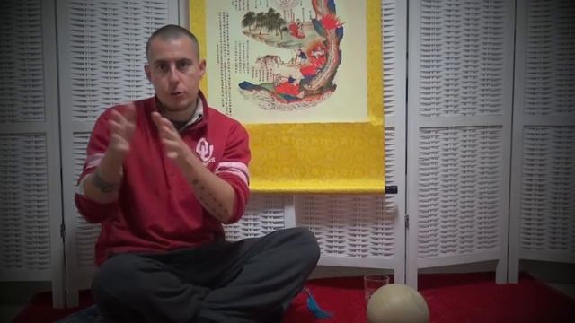 #QigongFestival2016 ‘Qigong, Problems In Practice And Jing’: A Discussion With Damo Mitchell