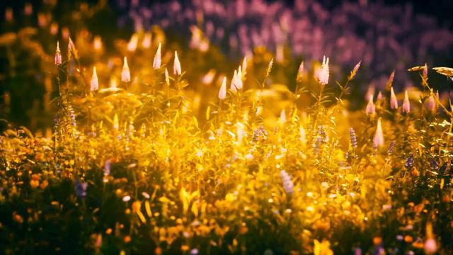 Most Relaxing Cello Music 💙 50 of our Best Cello instrumentals 💙 🅷🅴🅰🆅🅴🅽🅻🆈 🅼🆄🆂🅸🅲 смотреть онлайн