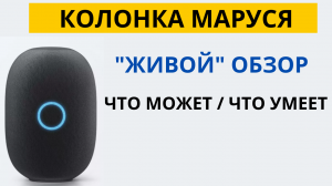 Что умеет колонка Маруся/Маруся обзор и отзыв