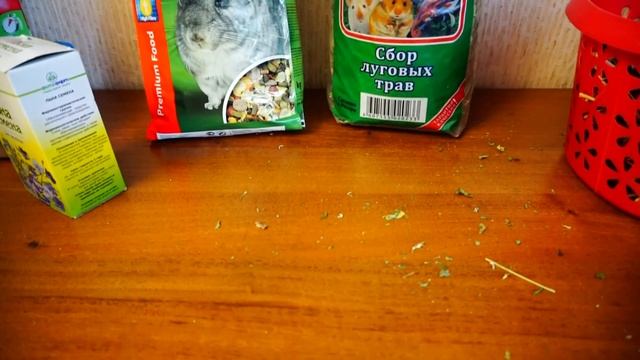 ЧЕМ Я КОРМЛЮ СВОЮ ШИНШИЛЛУ И В КАКОМ ПЕСКЕ КУПАЮ. смотреть онлайн