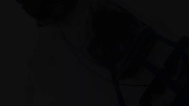 Приключения в Карелии смотреть онлайн