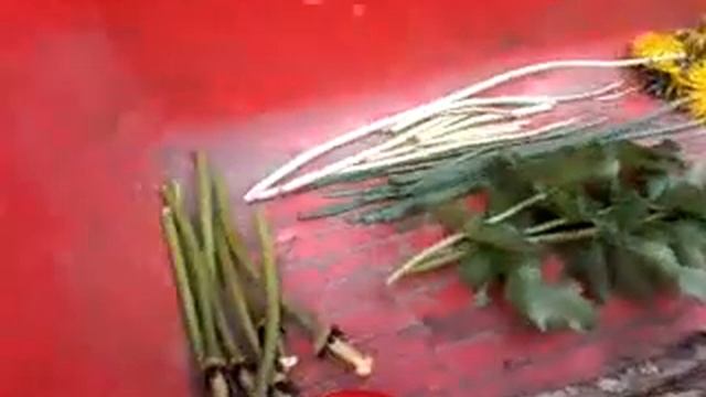 Сте бель с семенами тюльпана не реально смотреть онлайн