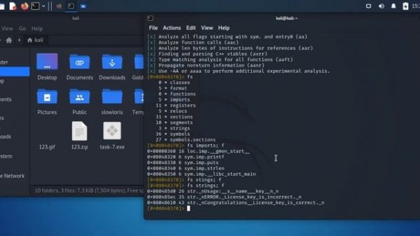 Static analysis Kali Linux PE file