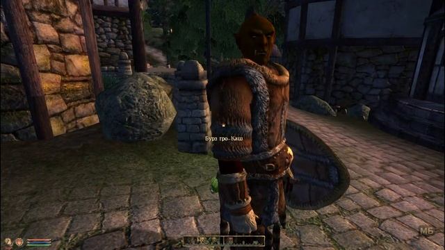 Прохождение TES 4: Oblivion. Максимальная сложность. #1: Начинаем!