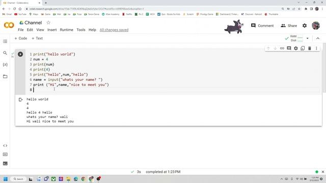 Python Basics смотреть онлайн