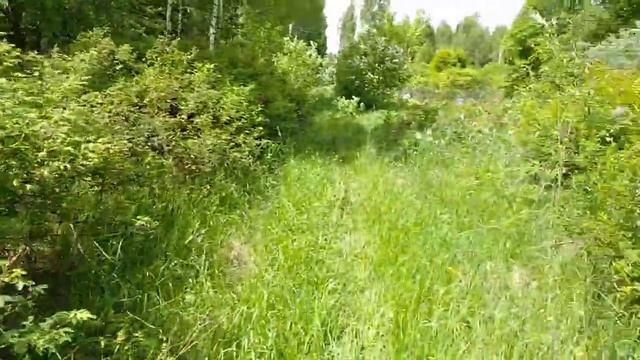 Рисуем цветы!