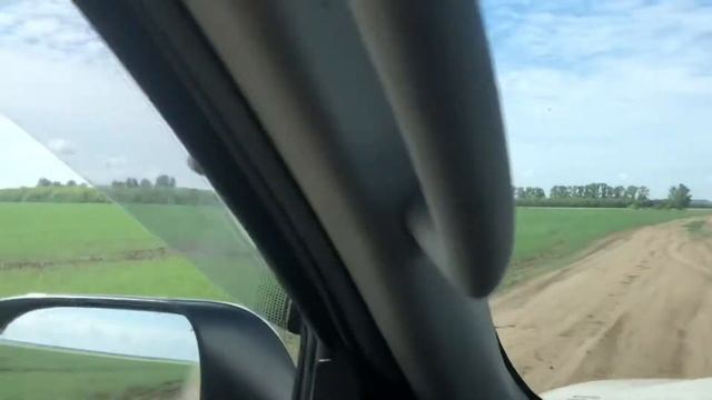 Выбираем лучший медонос: подсолнух, рапс или разнотравье. Куда поставить пчёл и где лучше выделение смотреть онлайн