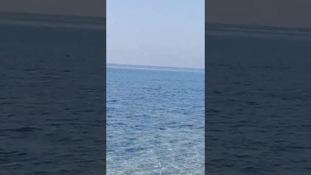 Море в Марсале .Сицилия.26 февраля 2021 г. смотреть онлайн