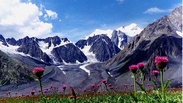 5 Техника работы с Симптомом На примере кашля смотреть онлайн