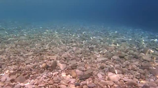 Olympus TG-3 underwater test in Full HD смотреть онлайн