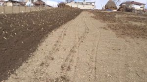 Трактор в деле!Т-40 с плугом!Пашем огород трактором