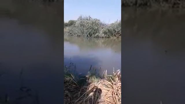 Рыбалка в Дагестане средний канал смотреть онлайн