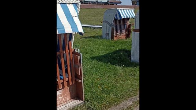 Wilhelmshaven 11.08.23 Поездка на Северное море. Вильгельмсхафен. Германия Нижняя Саксония смотреть онлайн
