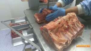 Пила ленточная напольная КТ 400  Резка стейков из туши