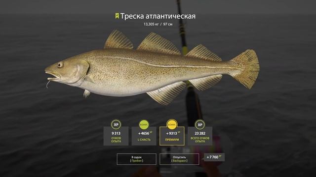 Русская рыбалка 4- гайд, ПЕРВАЯ МОРСКАЯ СБОРКА И ЛОВЛЯ НА МОРЕ, ПРОКАЧКА ПРИМАНОК | серия 16 смотреть онлайн