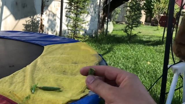Я не могу что бы день прошёл и я бы не обнял её… Что на это раз Серёжа привёз Марточке ????🫣 смотреть онлайн