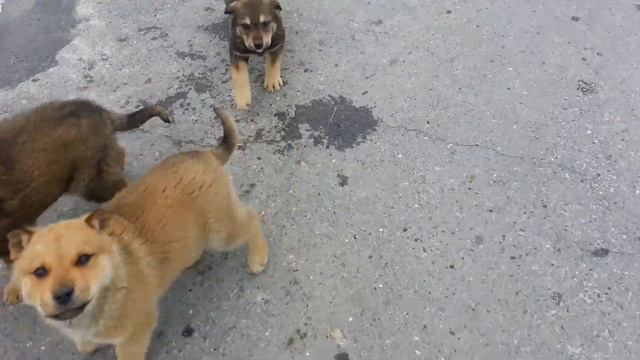 "Найда" смотреть онлайн