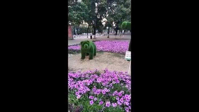 Майкоп летом смотреть онлайн