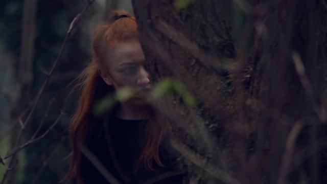 David Mark Bulley - Where Do We Go From Here (Official Video) смотреть онлайн