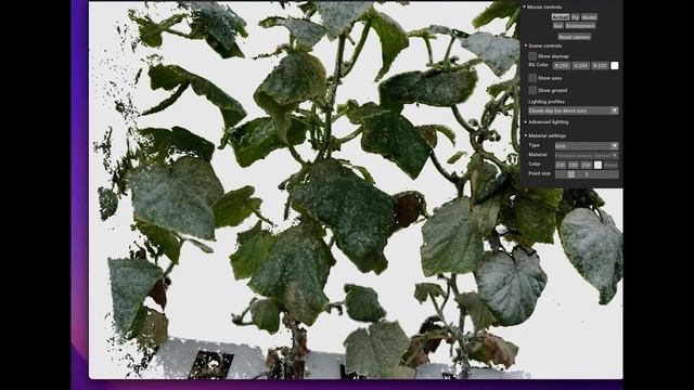 okrobot - роботизация процессов. АРКТИЧЕКИЙ АКСЕЛЕРАТОР смотреть онлайн