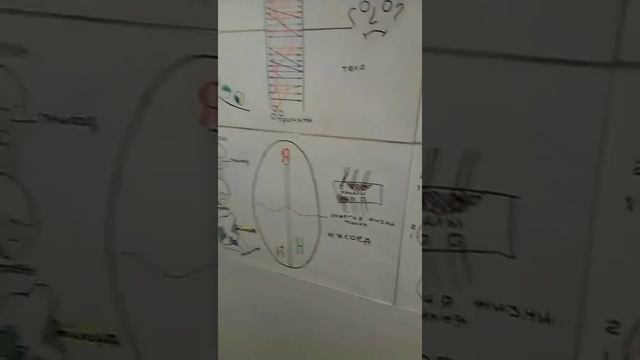 магические рецепты зеленина сигнальная система смотреть онлайн