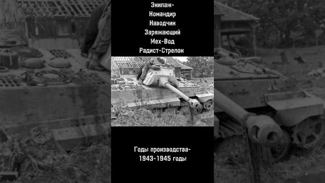 Обзор на Королевский Тигр Порше