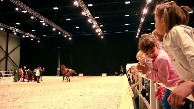 Золото России - 2016. 