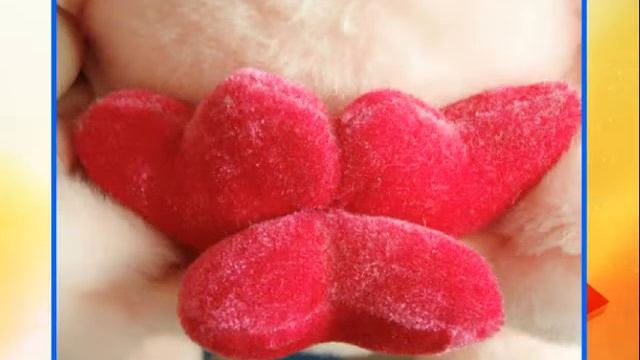 День Святого Валентина ! смотреть онлайн