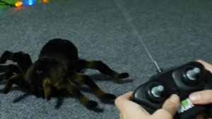 Распаковка игры Радиоуправляемый паук Тарантул Animal Planer TARANTULA