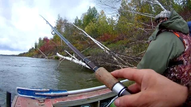 охота,рыбалка, грибы открытие сентябрь 2018 смотреть онлайн