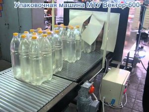 Вектор 600