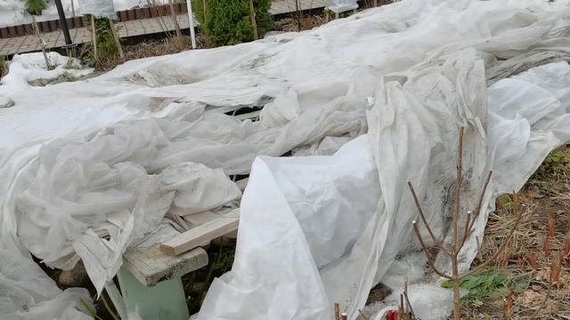 Стойки для цветов пора доставать и убираться во дворе. Метём, рубим, моем смотреть онлайн