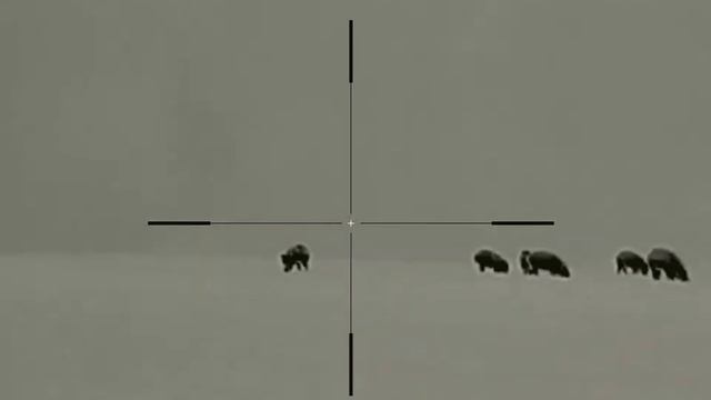 Infiray Rico RL42 prasata na ozimu 20112022 смотреть онлайн