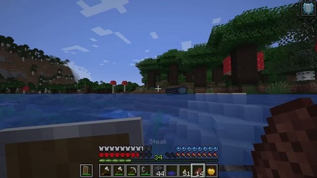 I Was Forced To Go Into The Woodland Mansion On Hardcore Minecraft...