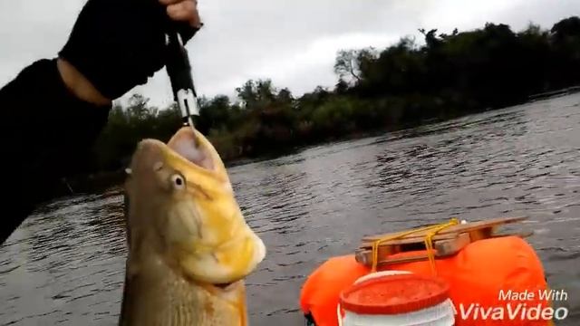 Travesía en kayak río corrientes pasó lopes esquina 180 km смотреть онлайн