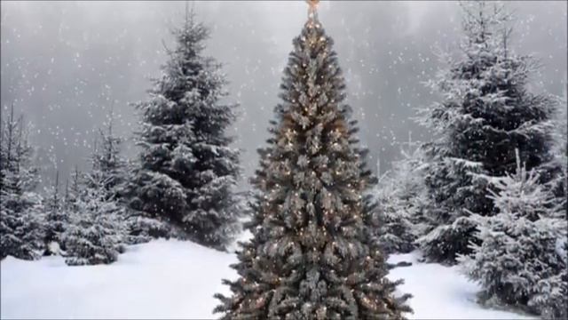 В лесу родилась елочка караоке смотреть онлайн