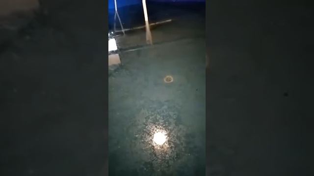 Производим каркасные бассейны САПФИР для разведения рыбы смотреть онлайн