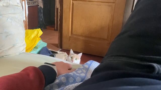 12 Сентября Киев. Не ожидал такого ажиотажа. смотреть онлайн